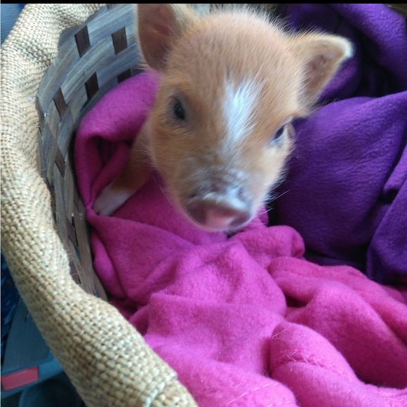 Share show! Share what you like - Picture 12 of 16